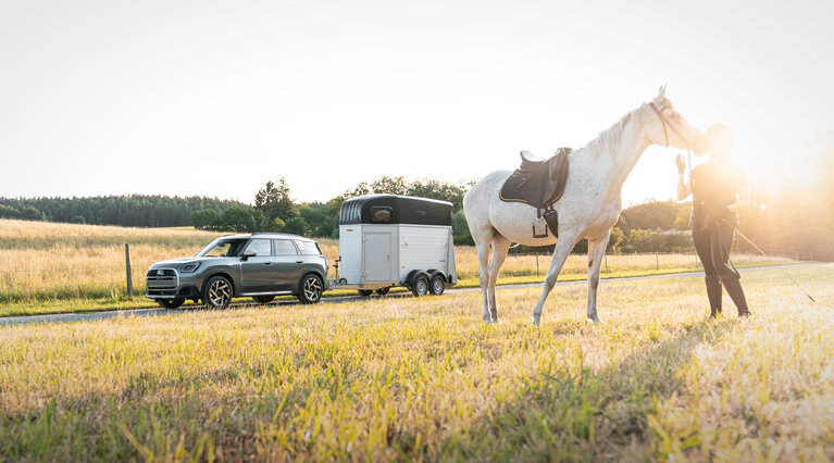 A woman is stroking her horse. In the background, you can see the Equitos Alu attached to a vehicle.