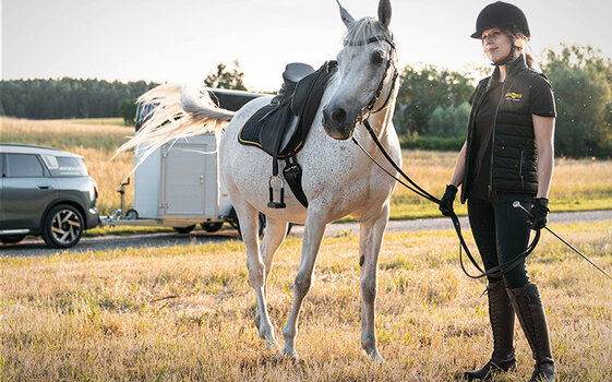 Ruiter met paard 